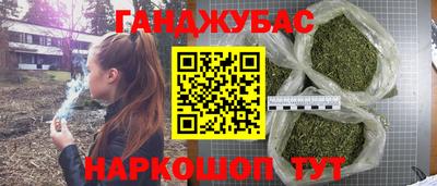шишки Обь