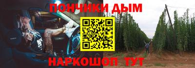 шишки Обь