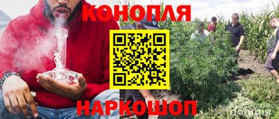 шишки Обь