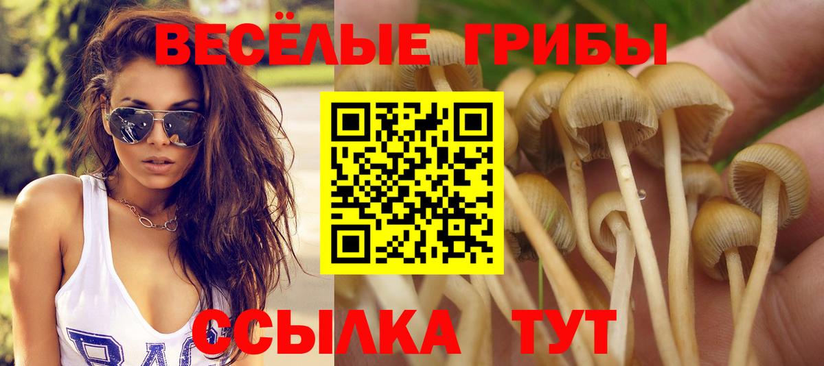 Псилоцибиновые грибы ЛСД Усть-Илимск
